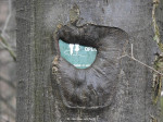 Landgoed Schultenwolde